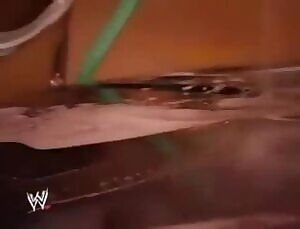 WWE Divas Bikini Car Wash