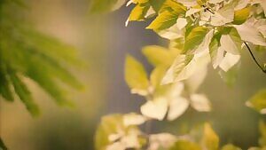 Violett Beane, Katy Harris, & Jasmin Savoy Brown - The Leftovers