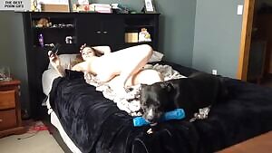 Give a dog a bone...