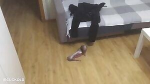 Slut Wife Fucked By Black Cock